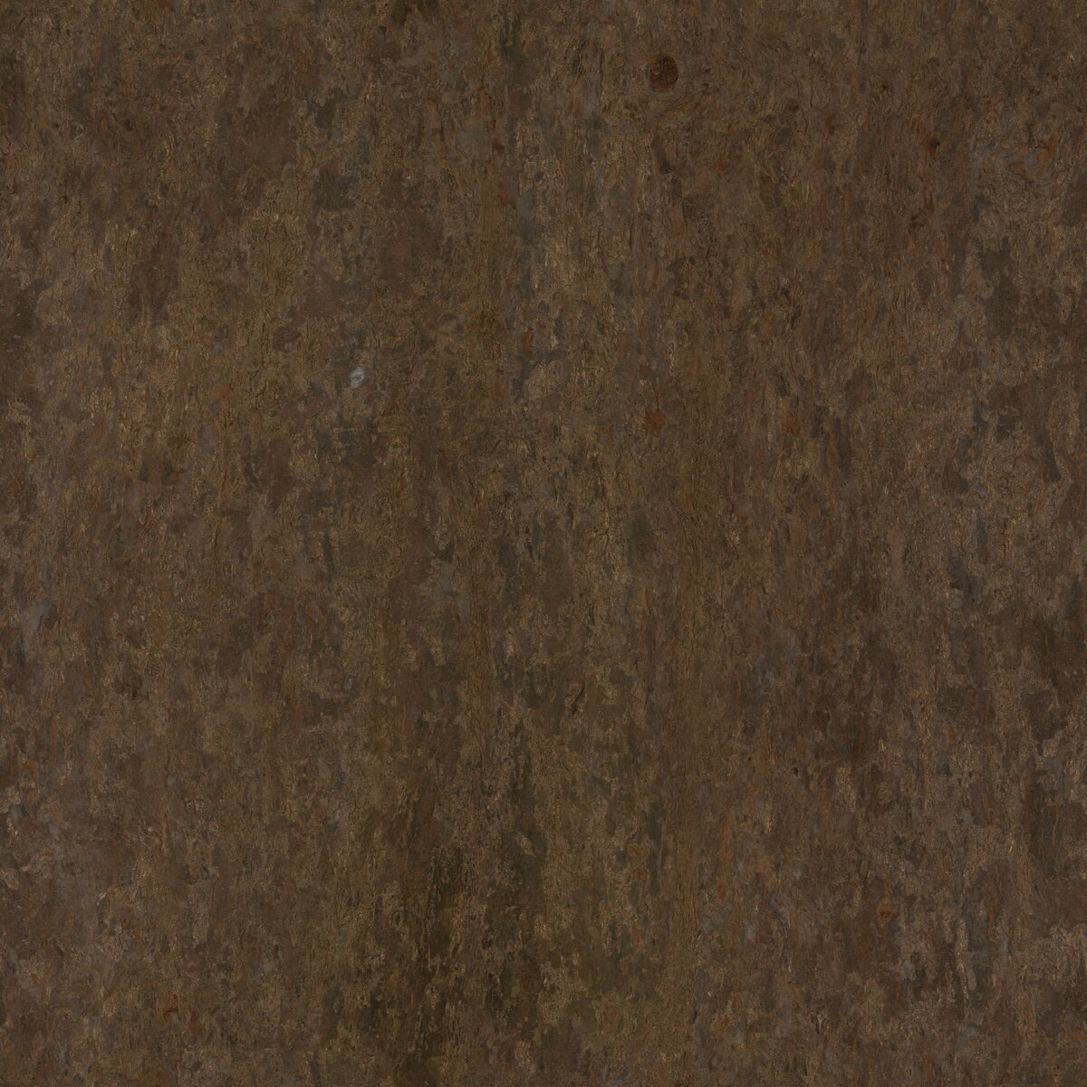 Trident Maple Bark Texture