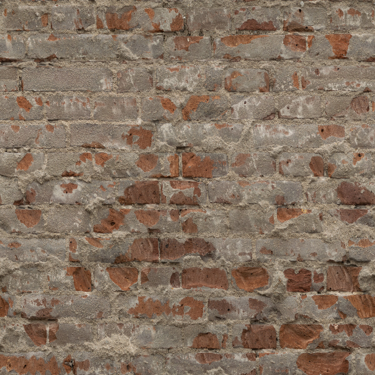 Wall Bricks Plaster Texture