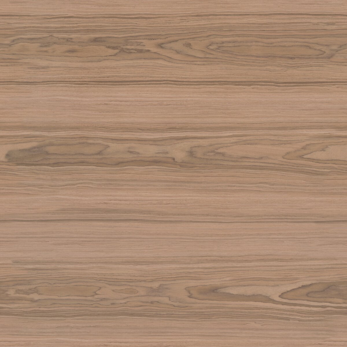 Walnut Veneer 02 Texture