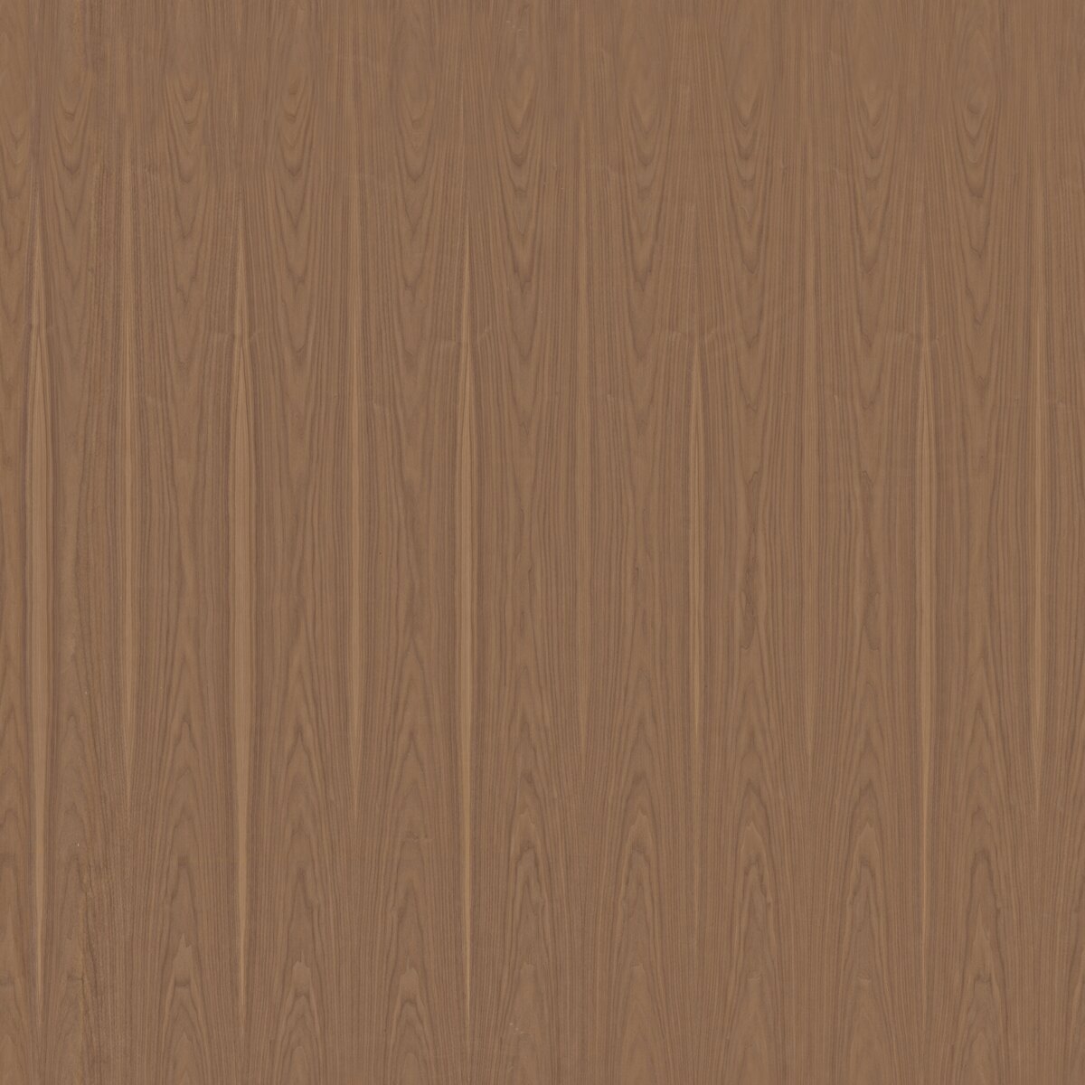 Walnut Veneer Texture
