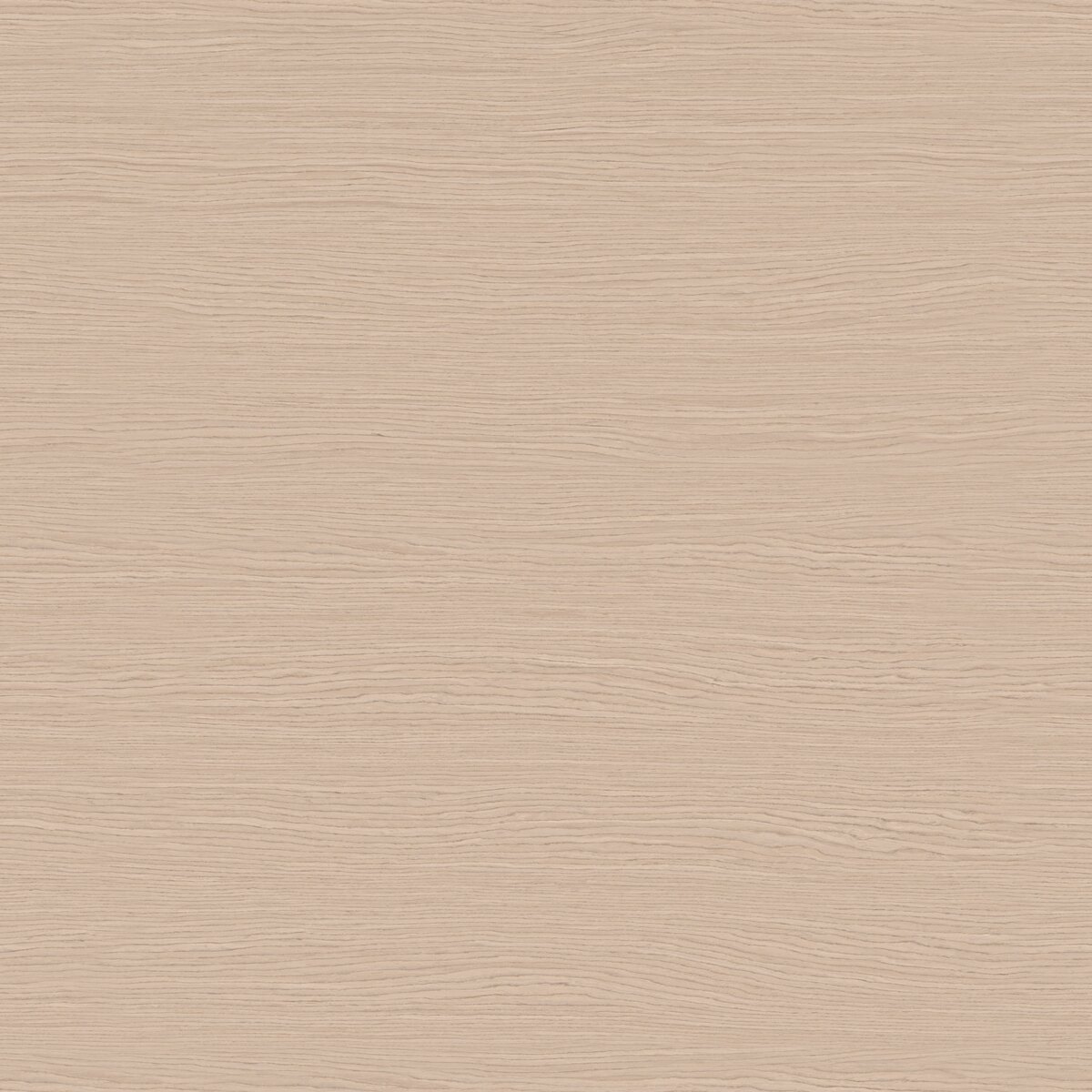 Washed Grey Oak Veneer Texture