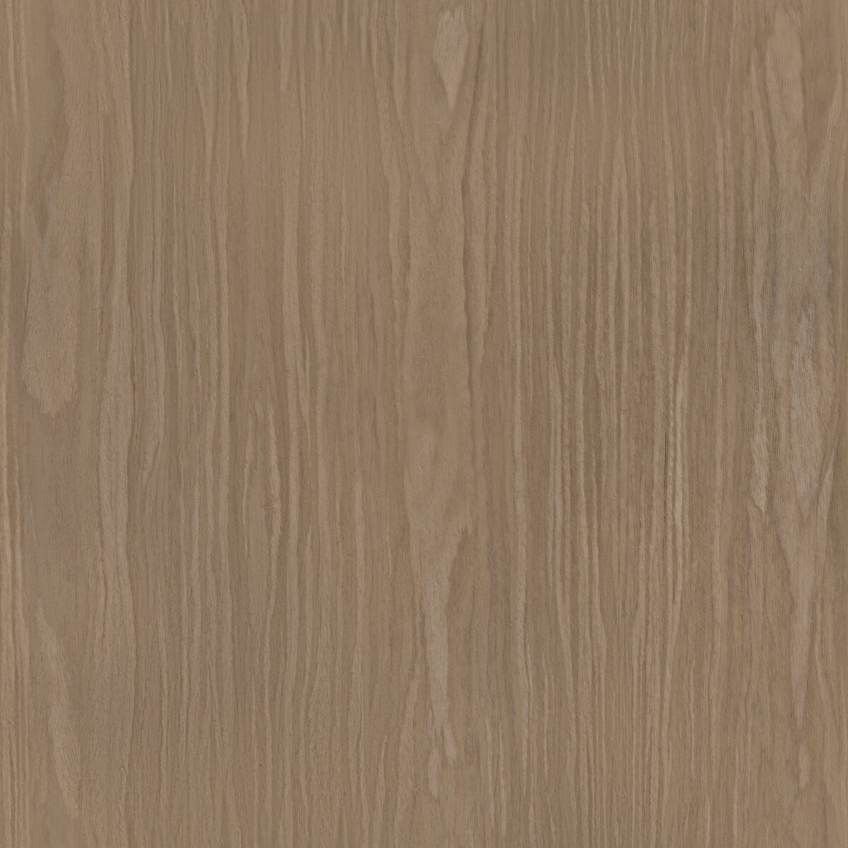 White Oak Veneer Texture