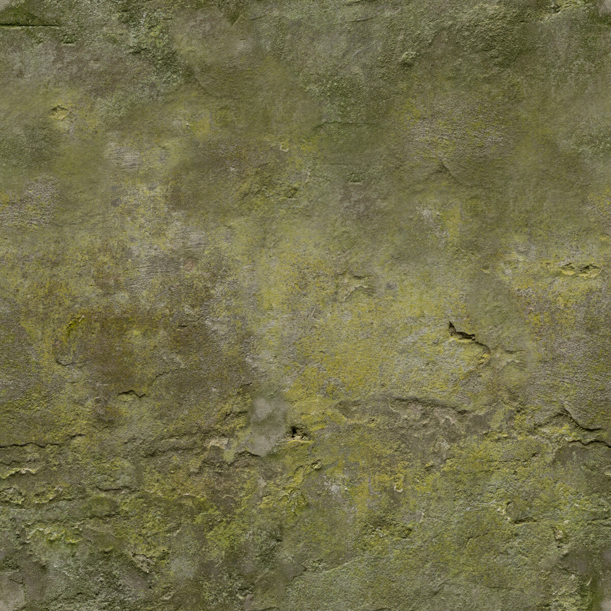 White Plaster Rough 02 Texture
