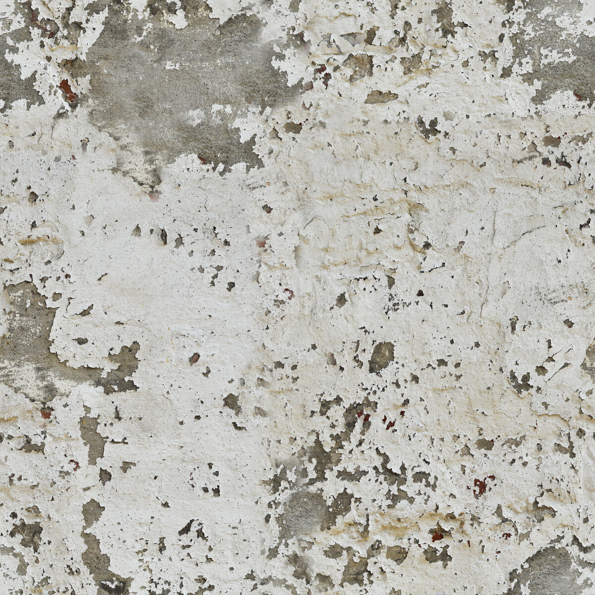 White Rough Plaster Texture