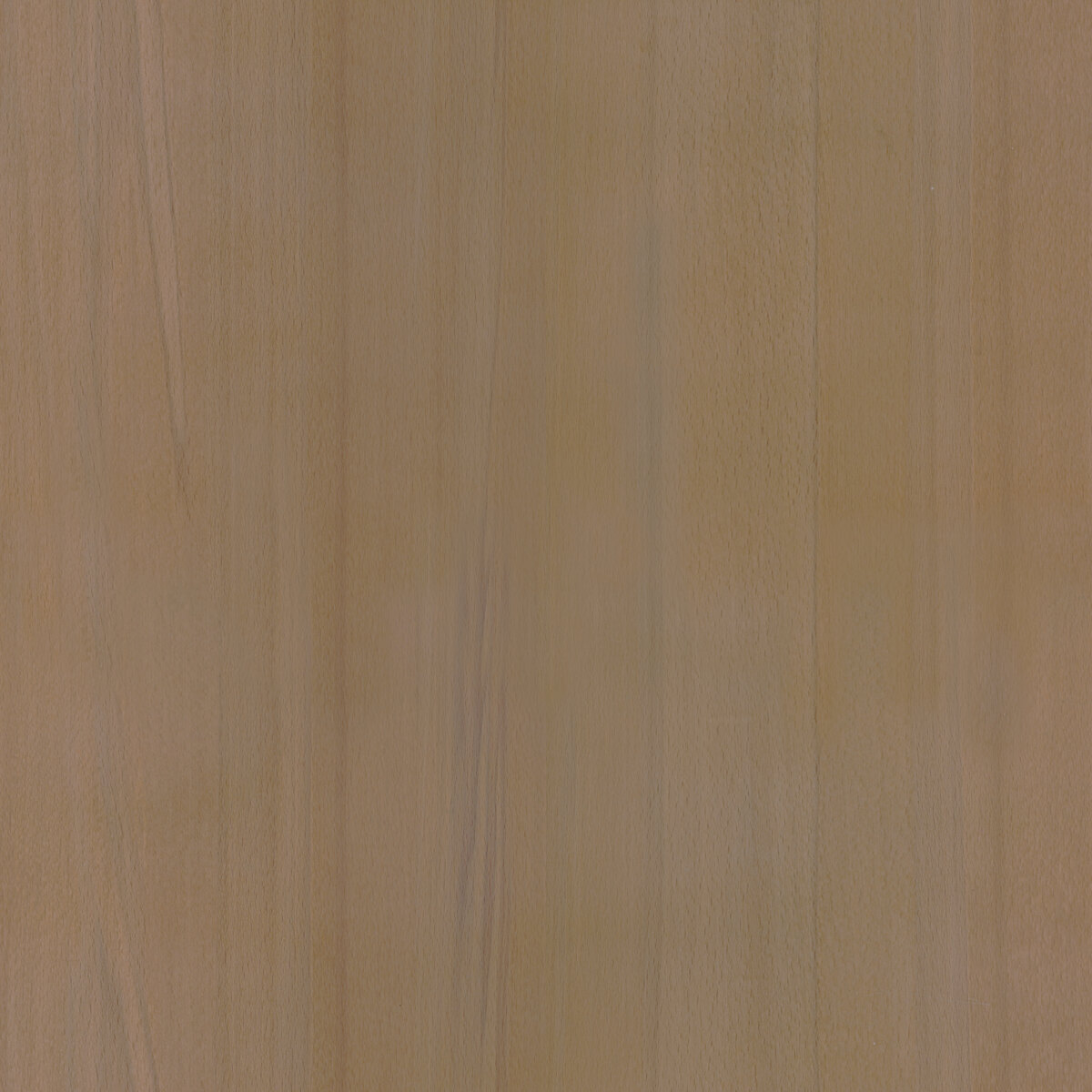 Wood 002 Texture