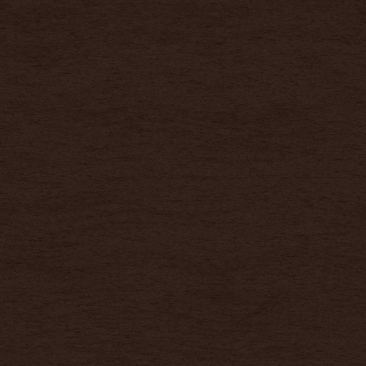 Wood 028 Texture