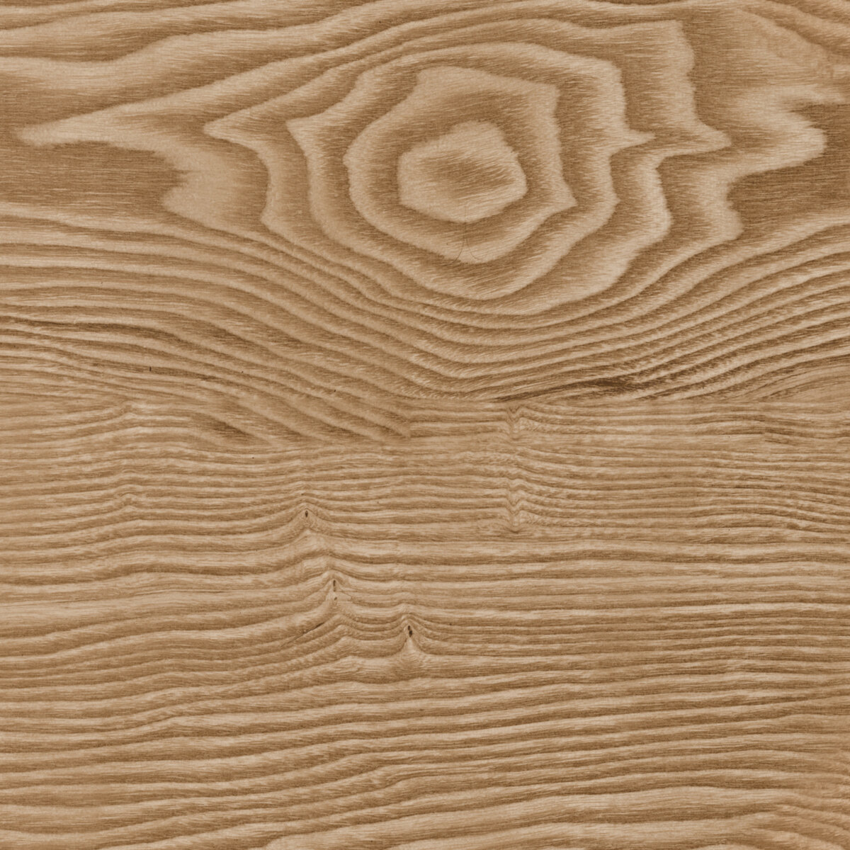 Wood 047 Texture