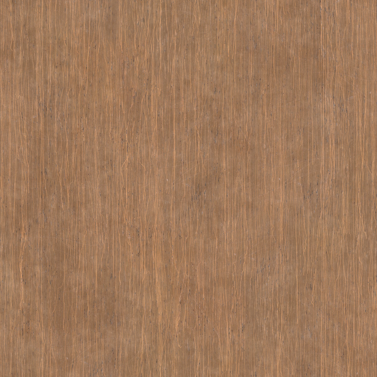 Wood 058 Texture