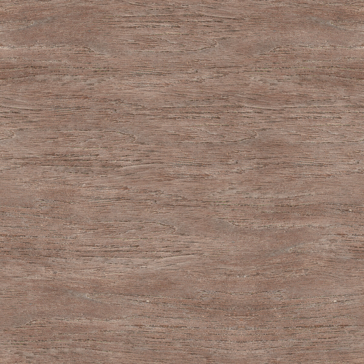 Wood 059 Texture