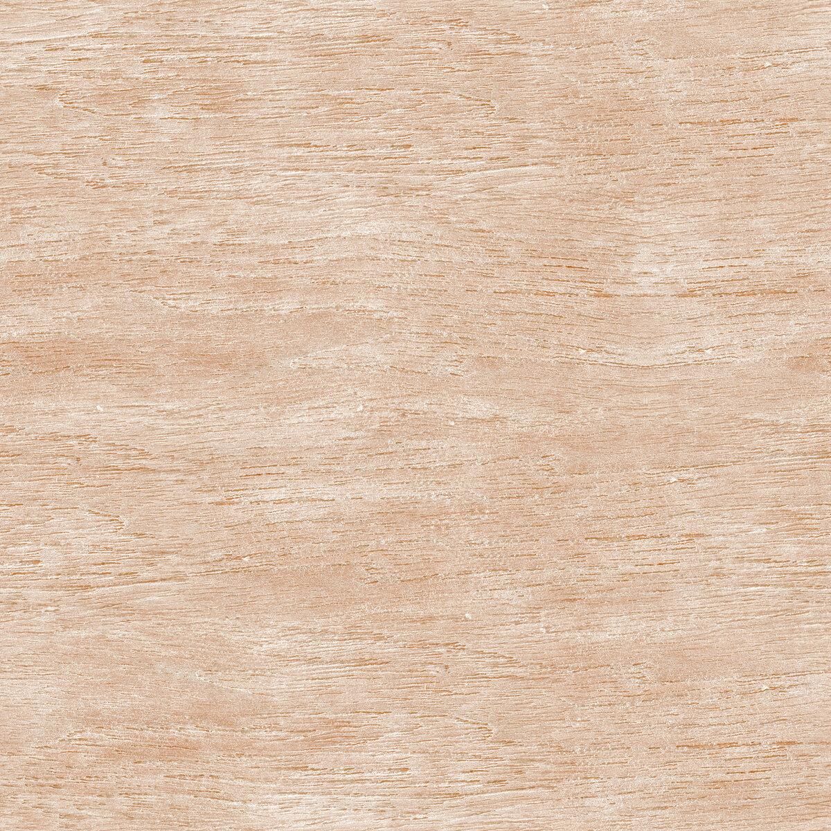 Wood 061 Texture