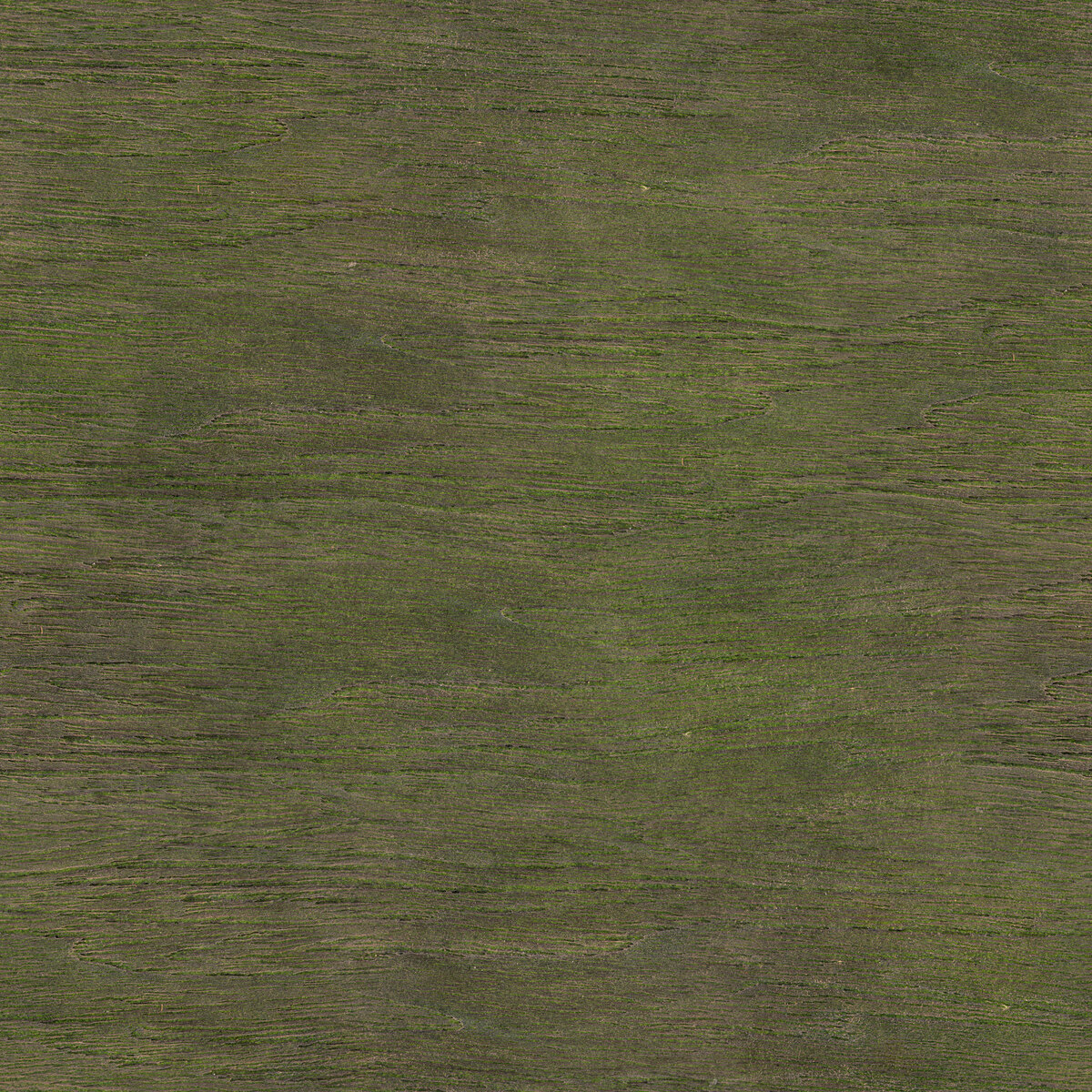 Wood 065 Texture