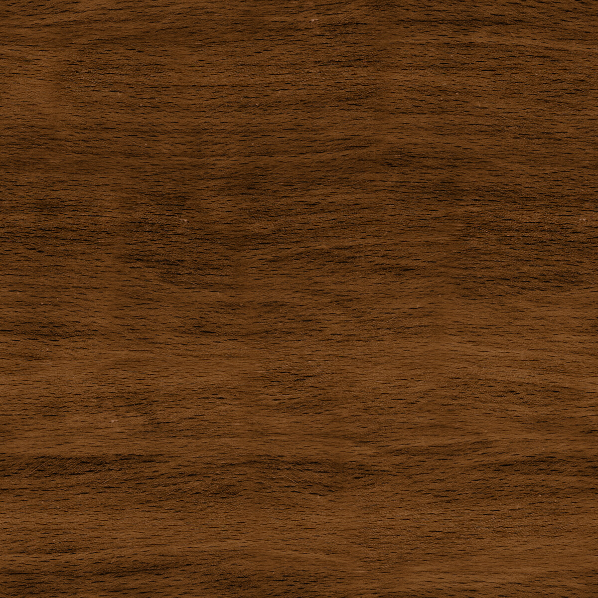 Wood 066 Texture