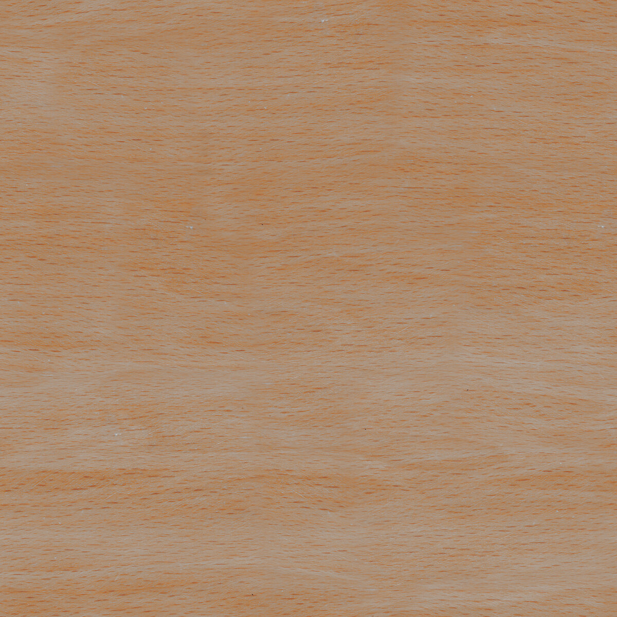 Wood 068 Texture
