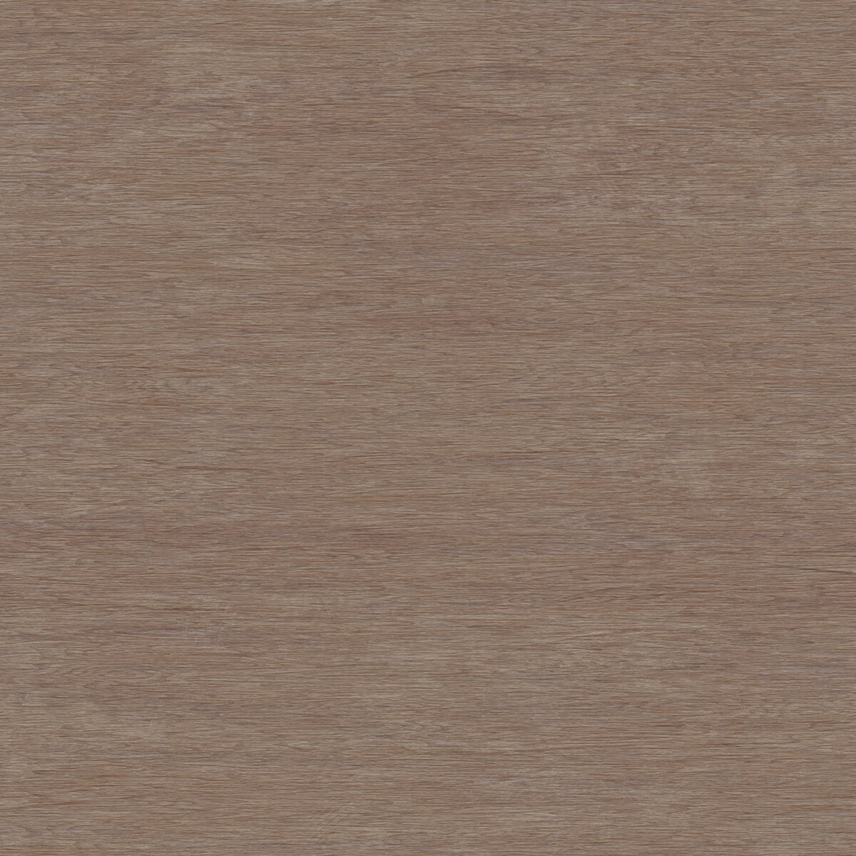 Wood 079 Texture
