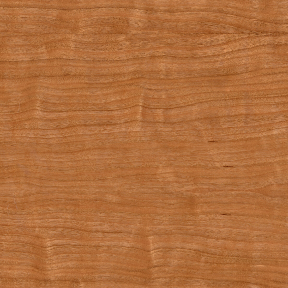 Wood 093 Texture