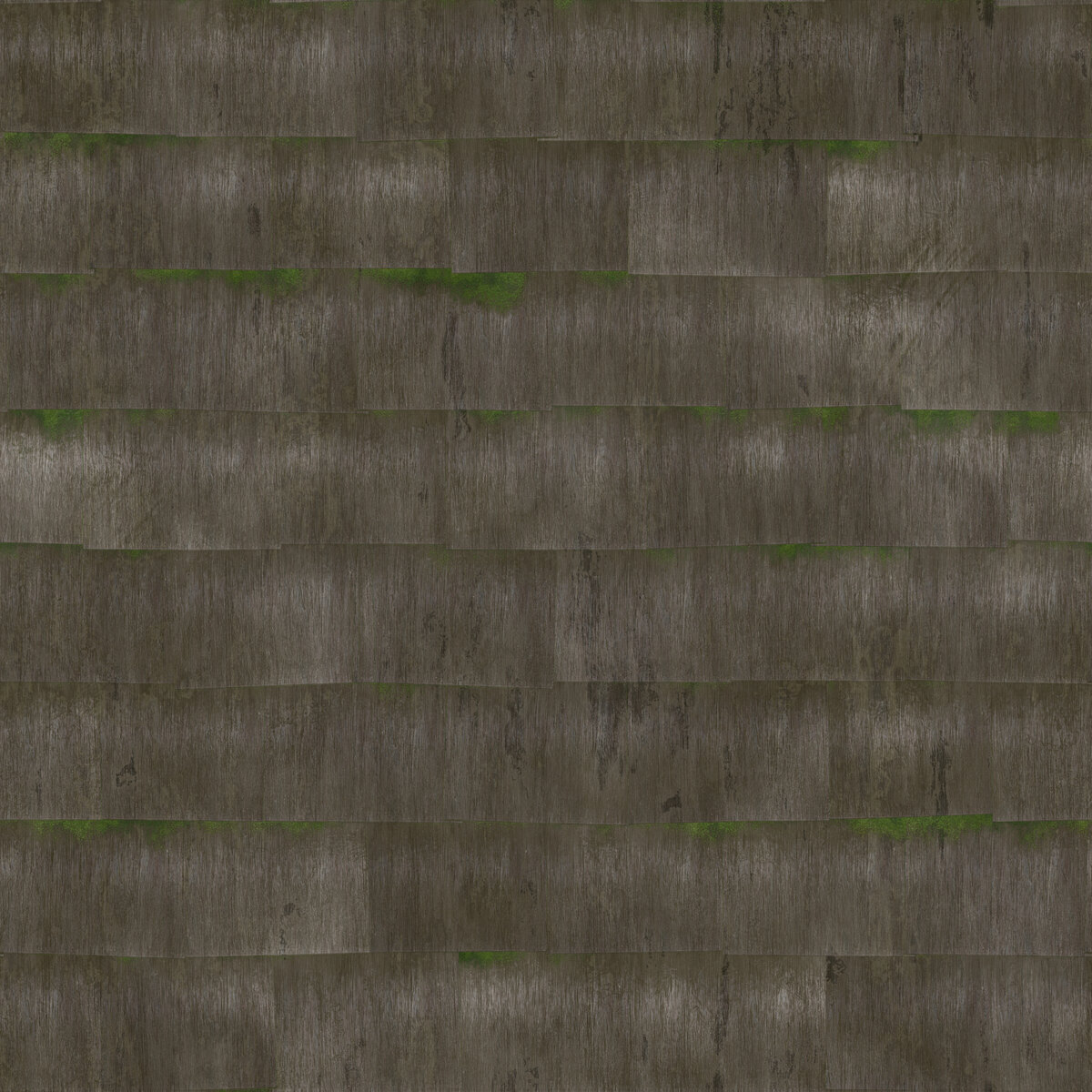 Wood Siding 010 Texture