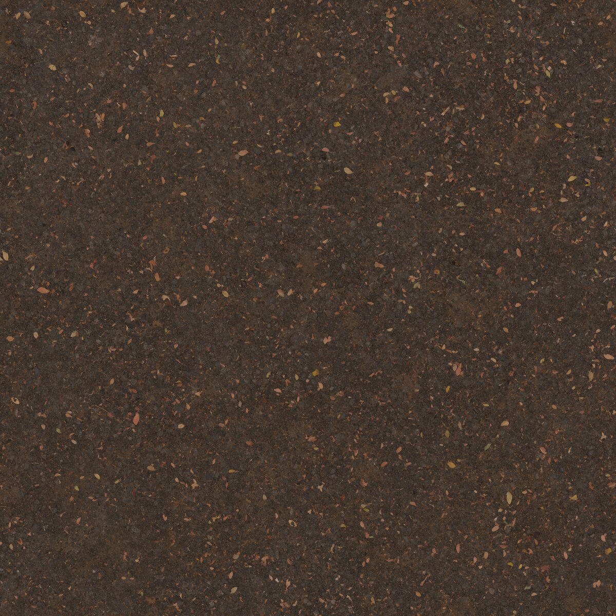 Worn Asphalt Texture