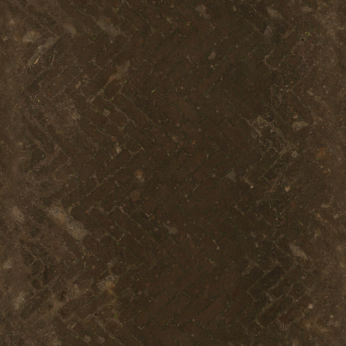 Worn Brick Path Texture